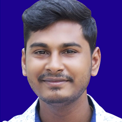 Lecturer in Economics